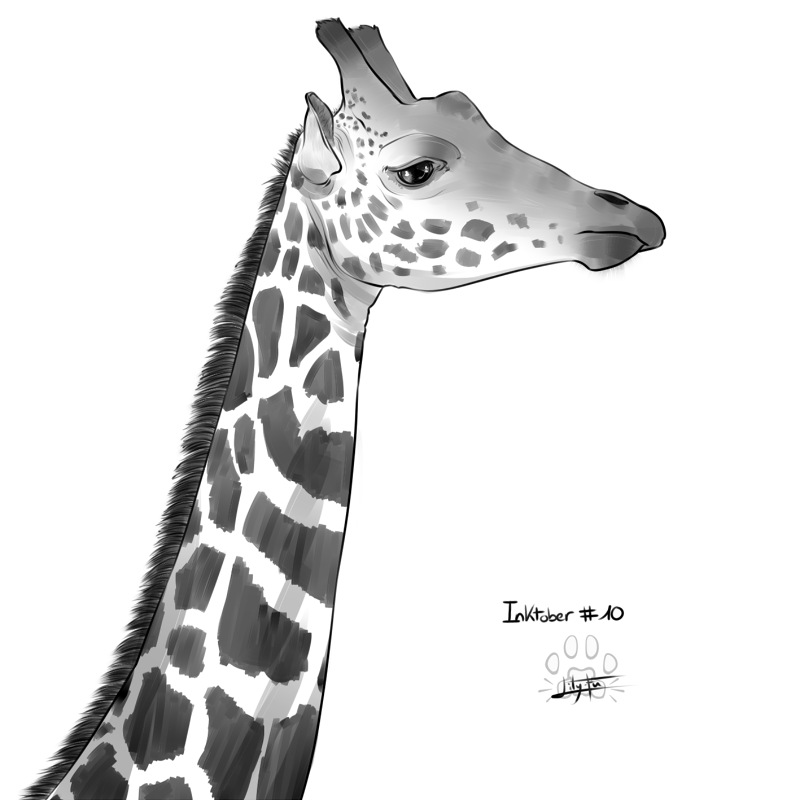 Inktober 10 : giraffe