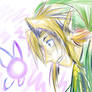 link navi or is it tatl?