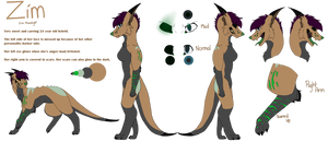 New Ref Sheet for Zim