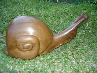 wooden snail