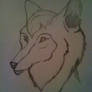 Wolf Sketch 3