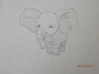 Elephant