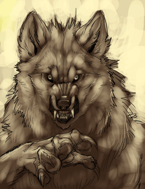 Werewolf Sketch