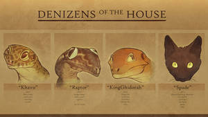 Denizens