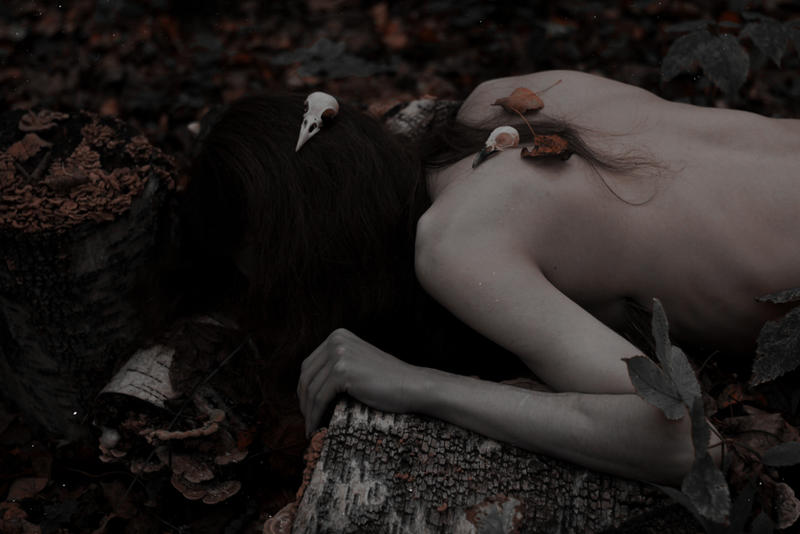 Two dead birds of your eternal autumn