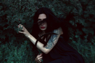 From the darkness of the damp earth by natalieina