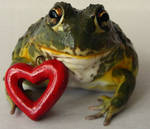 A Frog's Love by PaganFireSnake