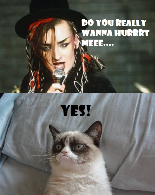 Grumpy cat and Boy George.