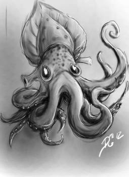 Squid Study1