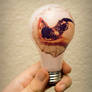 Bird in the Hand On the Bulb