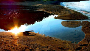 Late Afternoon Reflections