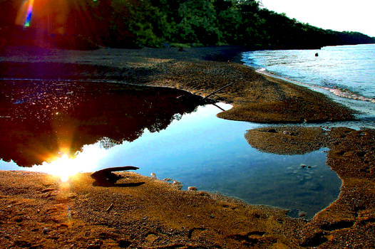 Late Afternoon Reflections