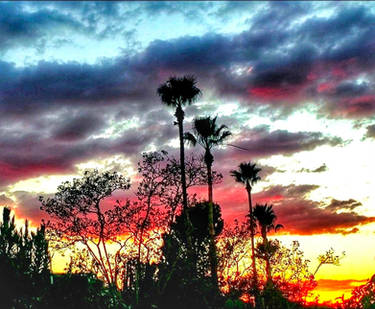 Color Me Sky
