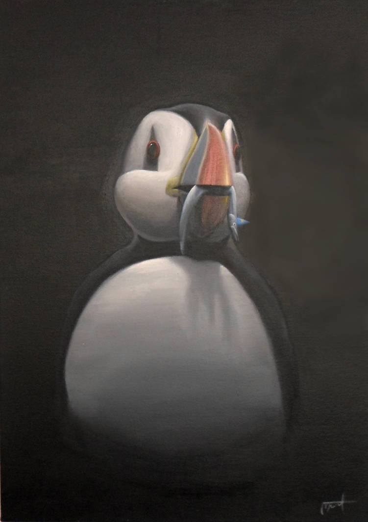 Puffin by TheMothTree Puffin by TheMothTree