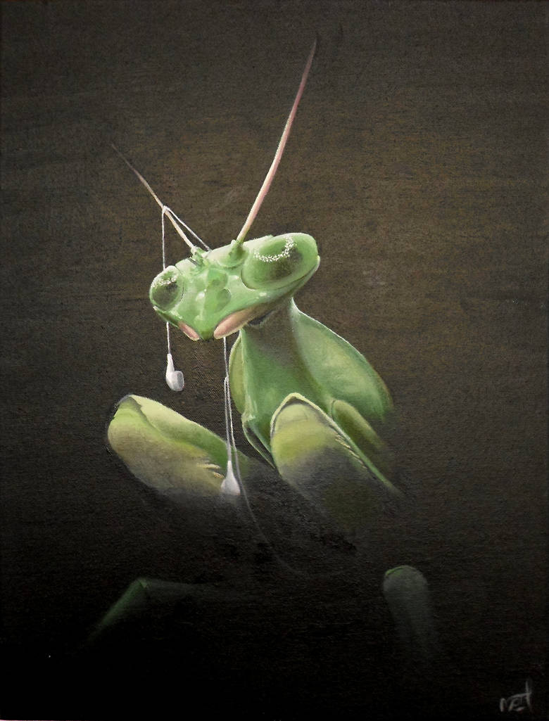 Mantis by TheMothTree Mantis by TheMothTree