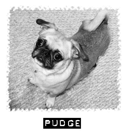 Pudge