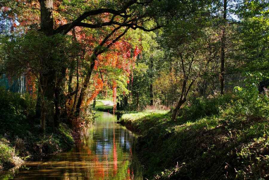 Beautiful autumn in Kortowo