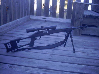 22 LR autoloading rifle by M1-Carbine on DeviantArt