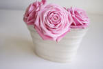 Pink Roses IV by onelook
