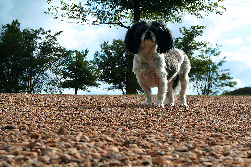 Abbey Road - HDR