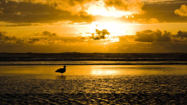 Sunset over the Pacific Ocean