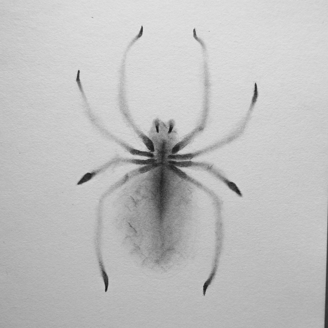 Deviantart Spider spider by eNotzver on DeviantArt