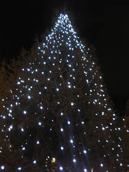 Glowing Christmas Tree