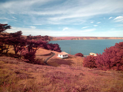 Point Reyes Infrared II