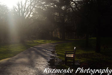 Park Bench In Gunnersbury