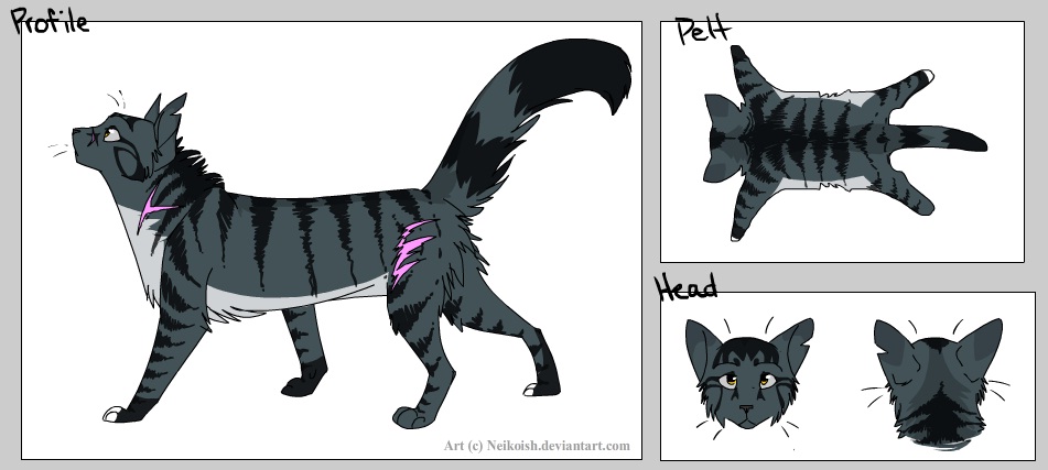 Warrior Cats:Shadowclan Leader