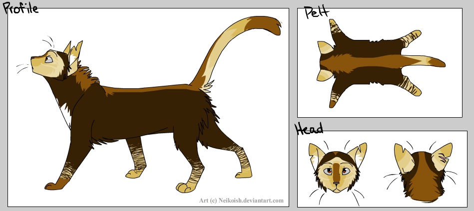 Warrior Cats: Windclan Leader