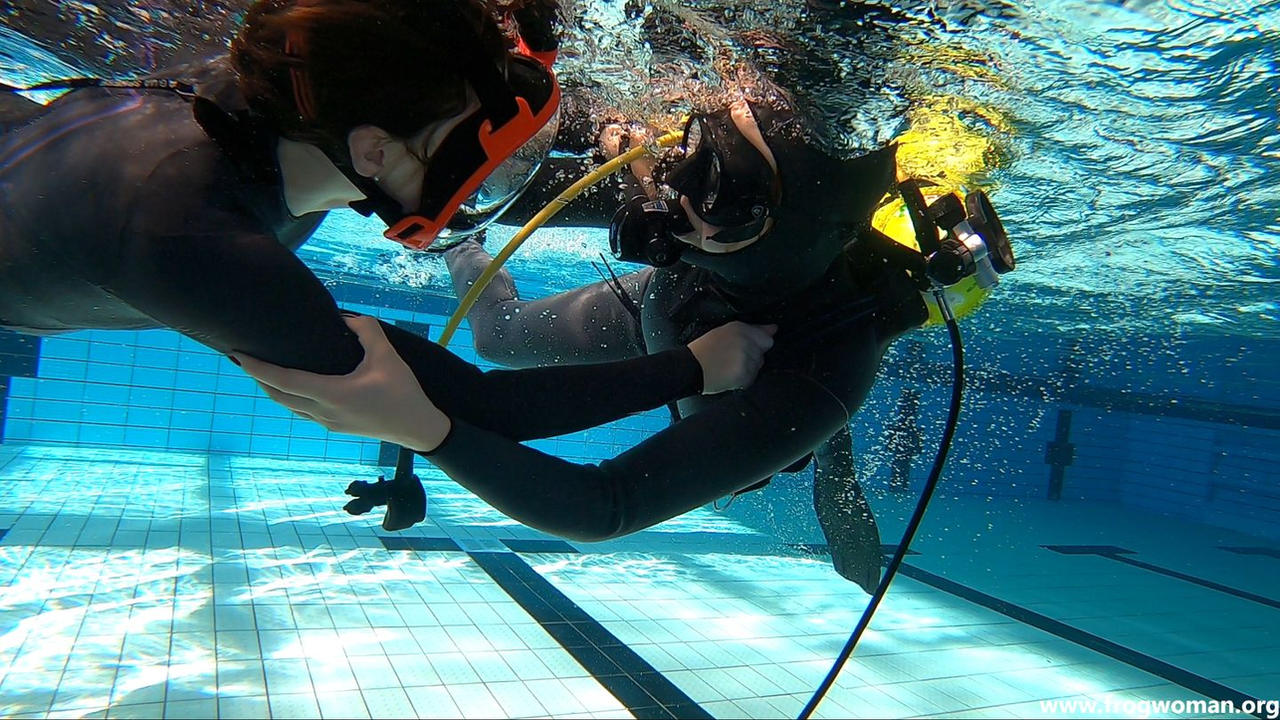 Video 15 of my Project F - Scuba diver VS swimmer by KingSiggi on ...