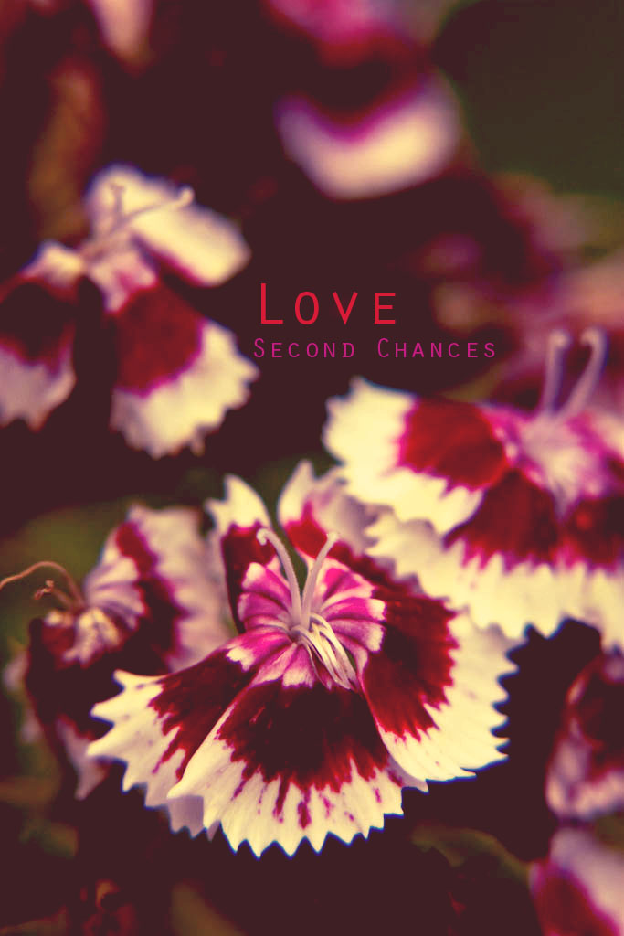 Love second chances