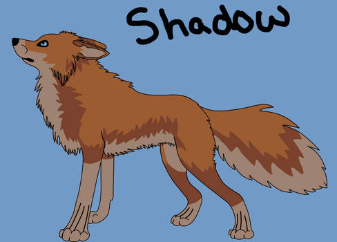 Request Shadow