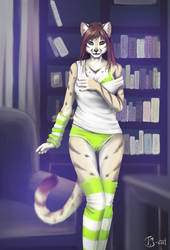 The Lime Underwear, the Cat and the Bookcase