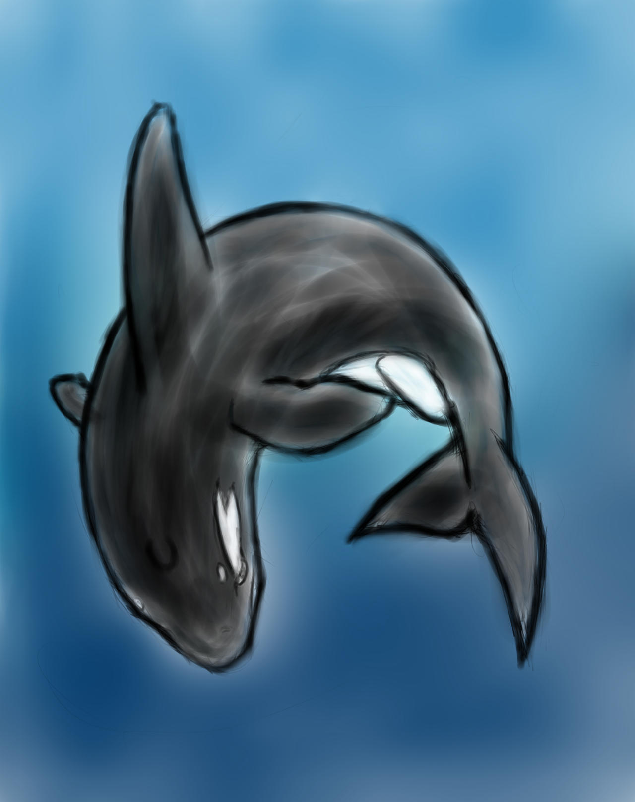 Orca(ed???) 3