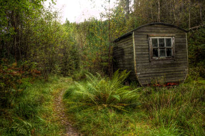 Abandoned Shack