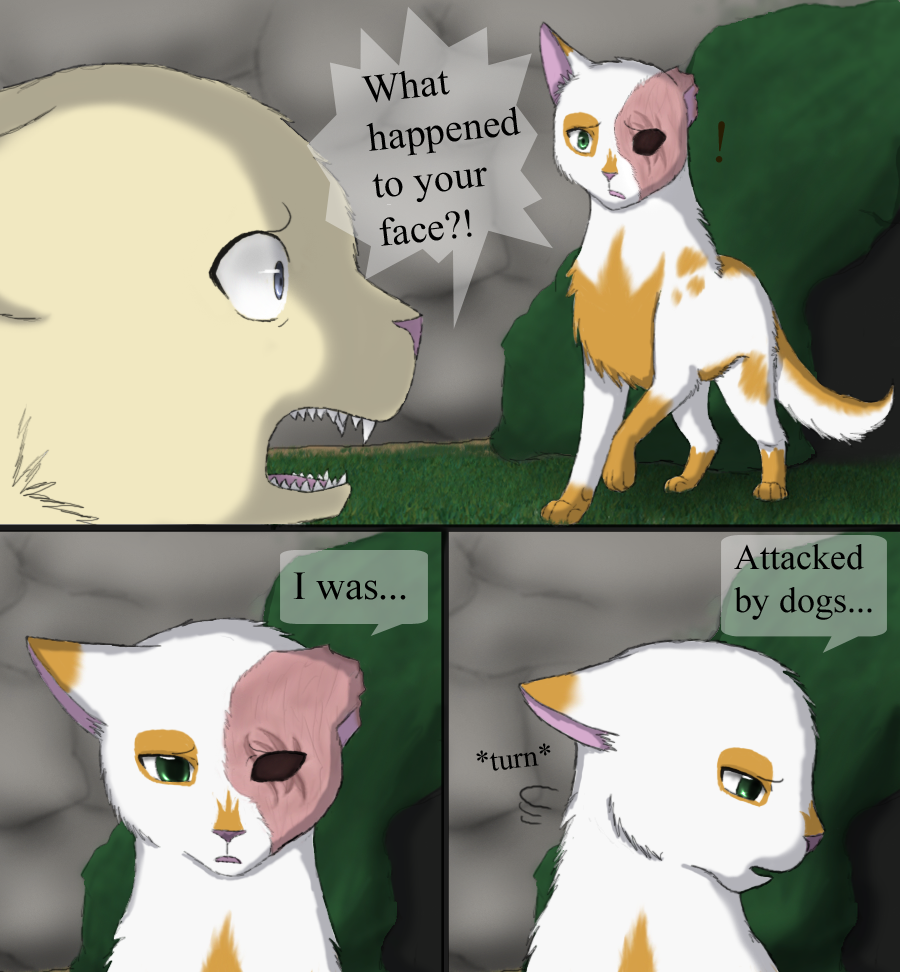 Daisy and Brightheart: Scars