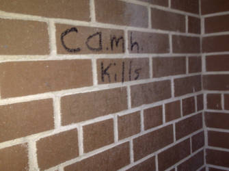 C.A.M.H. Kills