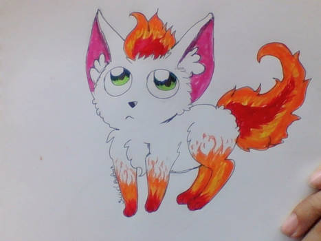 flame cat