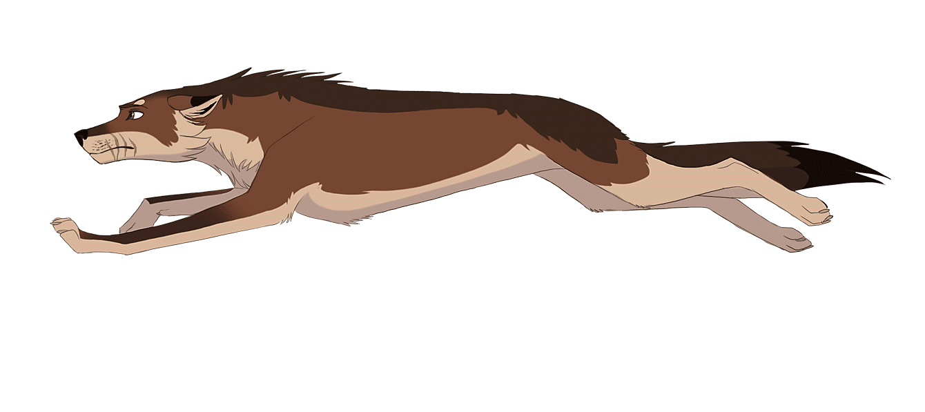 Malik - Wolf Run Animation Template by AliceParkes on DeviantArt
