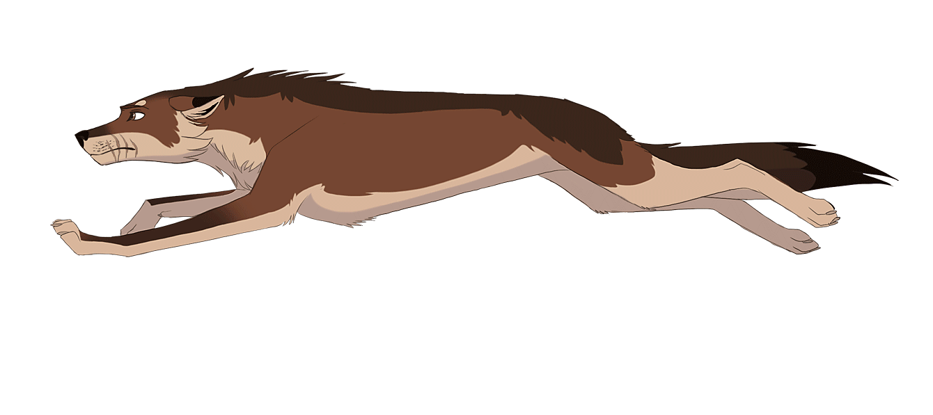 Malik - Wolf Run Animation Template by AliceParkes on DeviantArt