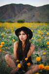 Anza Borrego by PlastikStars Anza Borrego by PlastikStars