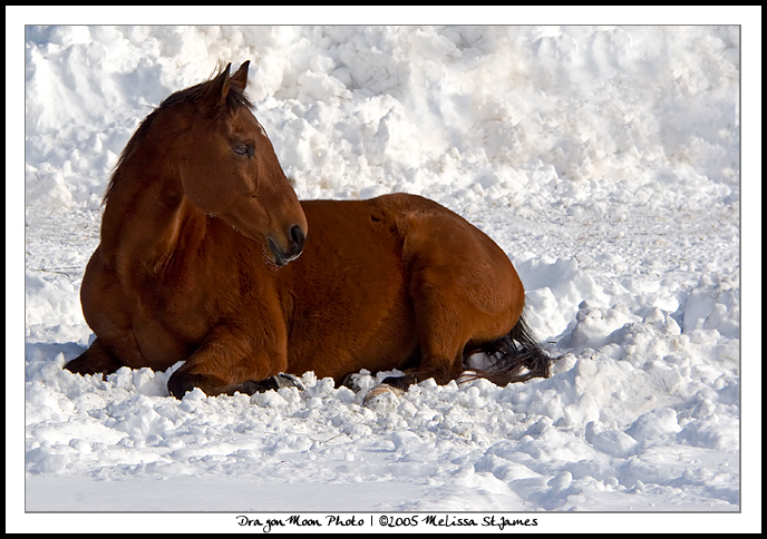 Soft Snow