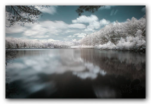 Infrared Reflections