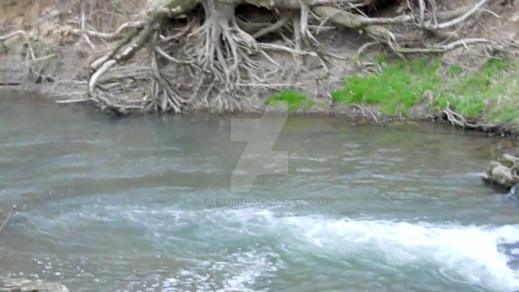 Stream with tree roots STOCK by Evawright on DeviantArt