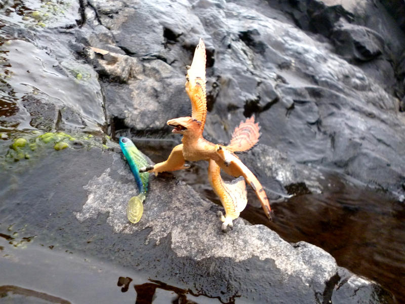 Big fish by hayonkasi on DeviantArt