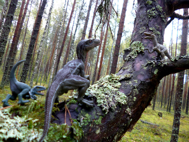 Raptor Rag Tree 25 - Raptor tree by hayonkasi on DeviantArt
