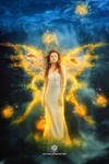 fairy of goldfish by EvyLeeArt
