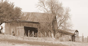 Deere Shelter in Sepia